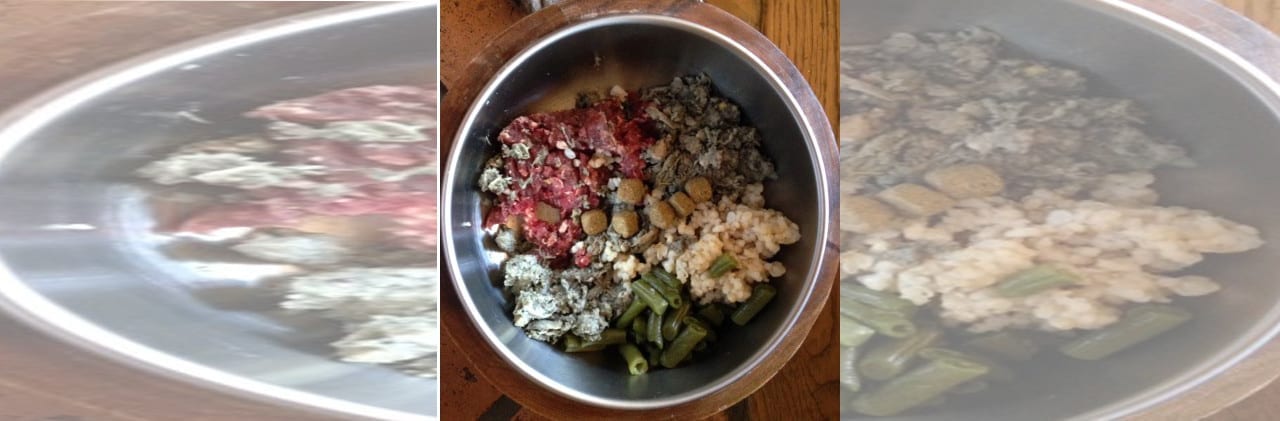 Beef and Tripe Recipe for Dogs.