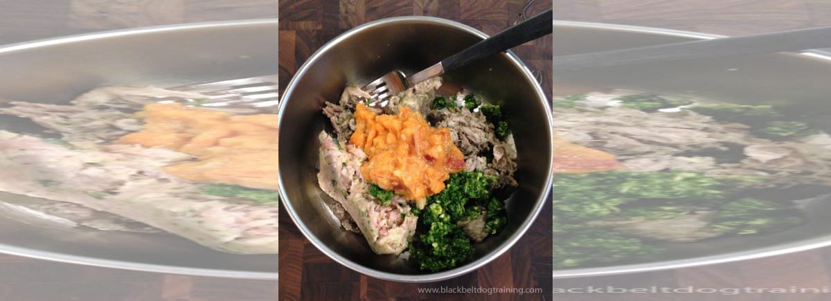 Home Prepared Beef Recipe for Dogs